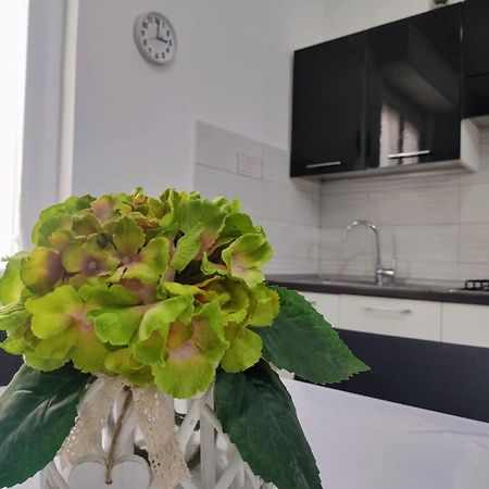 Apartmán La Dormidera Alghero Exteriér fotografie